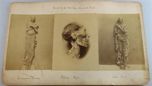 Image description is not available for DU1991.28